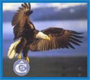 Un aigle juché sur le logo du Secret des Crêtes, le grand site des anagrammes.